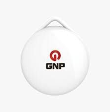 GNP